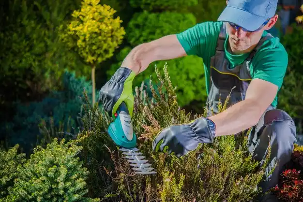 landscaping services Deville